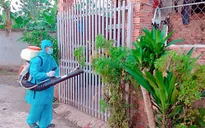 Đồng Nai: Một phụ nữ tử vong do sốt xuất huyết