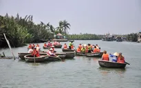 Thức giấc ở rừng dừa Bảy Mẫu, Quảng Nam