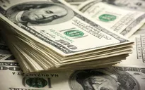 Tổng thống Mỹ công khai ủng hộ đồng USD yếu
