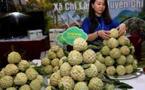 Ngày hội na Chi Lăng lần thứ ba năm 2019