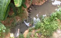 Dự án giãn dân 10 năm không có đường thoát nước thải: Sẽ sớm được khắc phục
