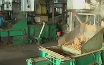 EU áp thuế chống trợ giá đối với dầu diesel sinh học Indonesia