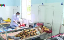 Bệnh sốt rét diễn biến phức tạp tại Gia Lai
