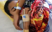 Myanmar: 10.700 người mắc sốt xuất huyết, 48 người tử vong