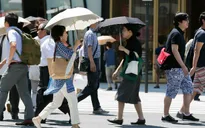 Gần 13.000 người Nhật Bản nhập viện vì nắng nóng trong tuần qua