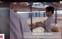 Bất thường ở cơ sở sản xuất thực phẩm, mỹ phẩm công nghệ cao