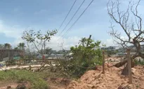 Khôi phục hệ thống điện cho đảo Phú Quốc sau khi nước rút