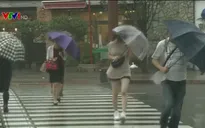 Nhật Bản kêu gọi hàng trăm nghìn người dân sơ tán để tránh bão Krosa