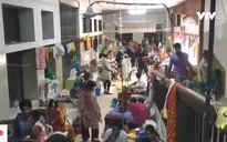 Sri Lanka và Bangladesh vật lộn với dịch sốt xuất huyết