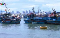 Khoảng 1.000 tàu cá được phép cải hoán sang khai thác vùng khơi