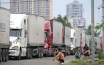 Đã thông quan được 50% số xe chở thanh long ở cửa khẩu quốc tế Lào Cai