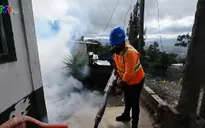 Dịch sốt xuất huyết bùng phát mạnh tại Mỹ Latin