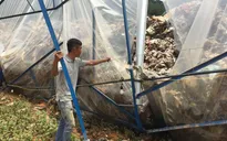 Đà Lạt: Vườn của dân biến thành nơi chứa rác sau lũ