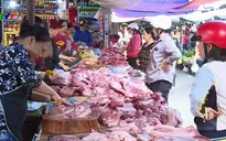 Nguy hiểm tính mạng do bệnh liên cầu lợn