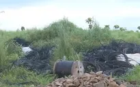 "Xã hội đen" ngang nhiên chiếm đất giữa ban ngày