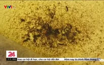 Hà Nam: Người dân loay hoay tìm nguồn nước sạch
