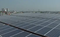 TP.HCM nhiều giải pháp phát triển điện mặt trời áp mái