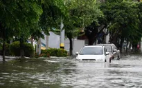 Bão Wipha gây mưa lớn tại Quảng Đông, Trung Quốc