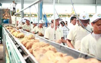 Tạo động lực bứt phá cho đặc sản dừa lên sàn thương mại điện tử
