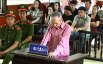 Bình định: Phạt 4 năm tù lái xe Lexus đâm chết người tại đám tang