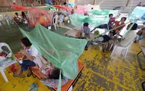 Số ca sốt xuất huyết tại Philippines tăng mạnh