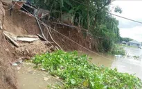 An Giang công bố tình huống khẩn cấp sạt lở bờ sông Hậu
