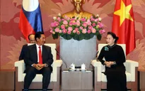 Không ngừng củng cố và phát triển quan hệ Việt Nam-Lào