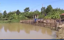 Thủy điện A Vương và Đắk Mi 4 xả nước đẩy mặn cho Đà Nẵng