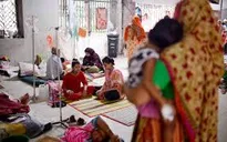 Báo động dịch sốt xuất huyết tại Bangladesh