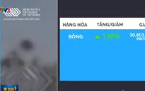 Giá bông kỳ hạn tháng 12/2019 hồi phục 1,35%