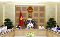 Xây dựng văn kiện trình Đại hội Đảng