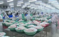 Cắt giảm giờ làm trong các nhà máy, nên hay không?