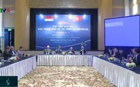 TP.HCM học tập kinh nghiệm chống ngập của Indonesia
