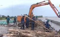 Cà Mau đề nghị xử lý khẩn cấp sạt lở đê biển Tây