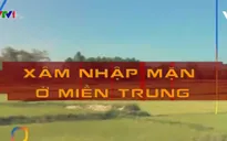 Xâm nhập mặn nghiêm trọng tại miền Trung: Đâu là nguyên nhân?