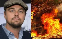 Leonardo DiCaprio hiến 5 triệu USD cứu rừng Amazon