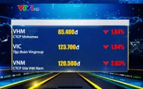 Thị trường chứng khoán trong nước giảm điểm mạnh