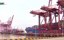 Trung Quốc tăng thuế 75 tỷ USD lên hàng hóa của Mỹ dưới góc nhìn chuyên gia