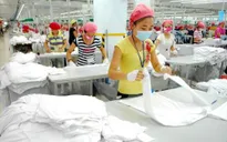 Thực thi cam kết về sở hữu trí tuệ trong hiệp định EVFTA