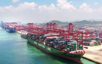 Tổng kim ngạch thương mại của Trung Quốc giảm mạnh