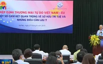 Nâng cao năng lực thi hành sở hữu trí tuệ tại Việt Nam