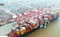 Triển vọng của nền kinh tế toàn cầu ảm đạm