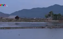 Đi bắt ốc, 4 người trong một gia đình ở Khánh Hòa đuối nước thương tâm