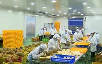 Trung Quốc thay đổi quy định ghi nhãn thực phẩm xuất nhập khẩu