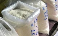 Giá gạo nếp tại Thái Lan tăng cao nhất 5 năm