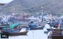 Vay vốn đóng tàu cá theo Nghị định 67: Tiếp tục tăng nợ xấu