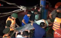 Quảng Bình: Ứng cứu 1 ngư dân gặp nạn khi vào bờ tránh bão