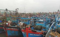 Huyện Diễn Châu (Nghệ An): Hơn 1.000 tàu thuyền đã về nơi neo đậu an toàn