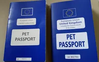 Brexit và hộ chiếu cho thú cưng ở Anh