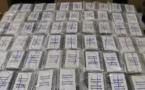 Hải quan Đức thu giữ gần 5 tấn cocaine